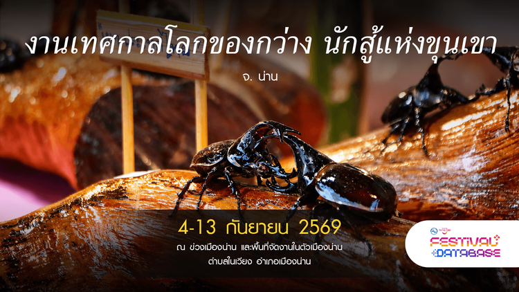 งานเทศกาลโลกของกว่าง นักสู้แห่งขุนเขา น่าน